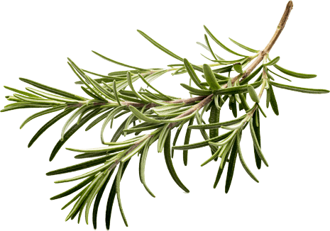 food-image-rosemary-opt